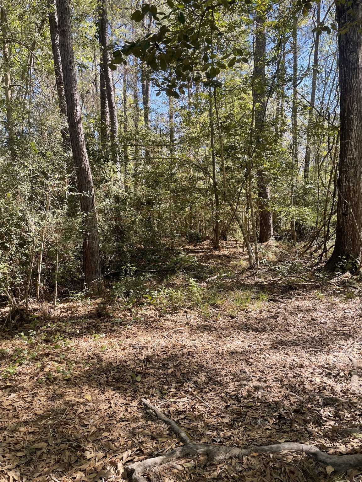 4219 County Road 4219 Orange, TX 77632 - Photo 12 of 14