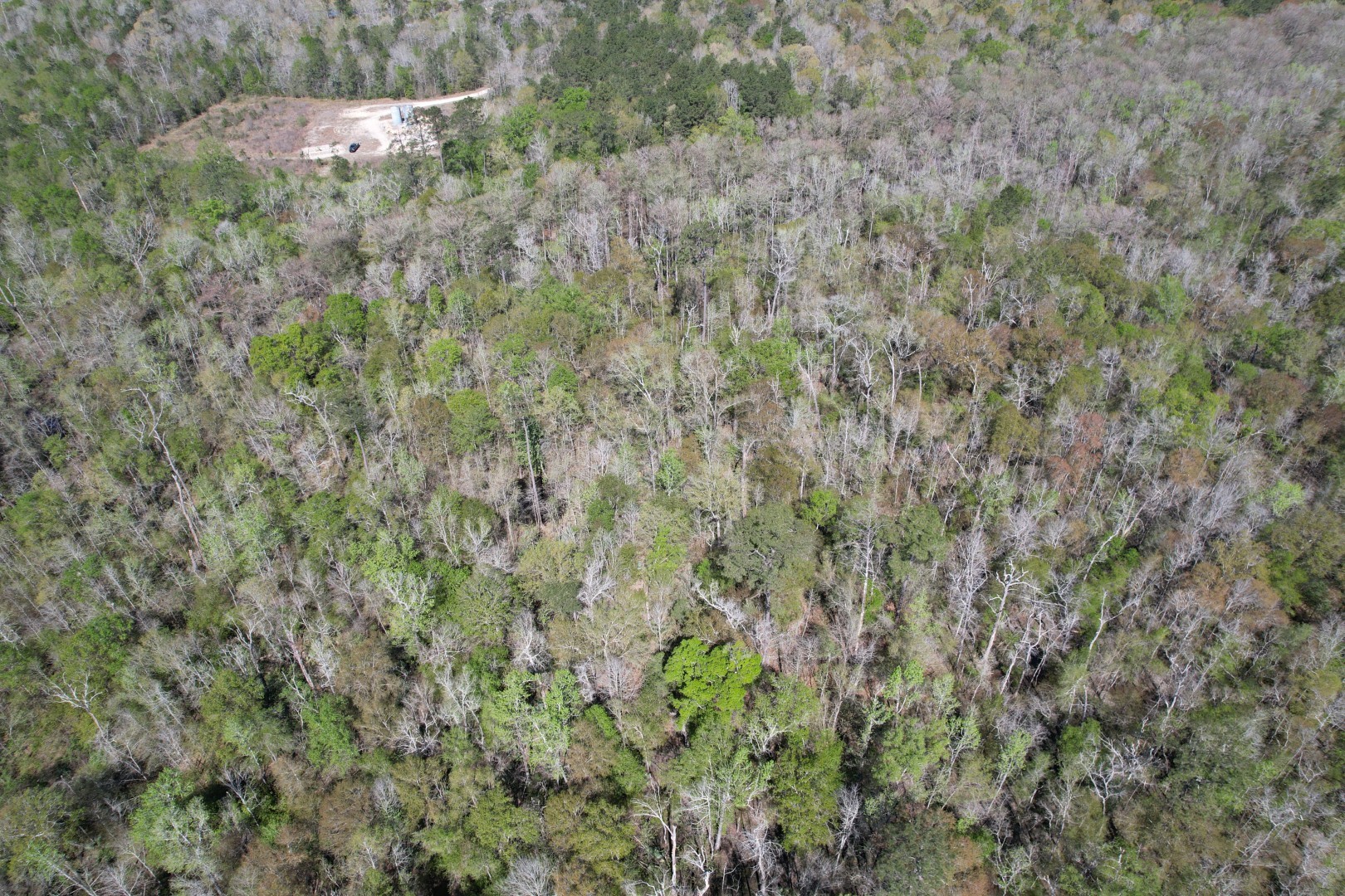 4219 County Road 4219 Orange, TX 77632 - Photo 5 of 14