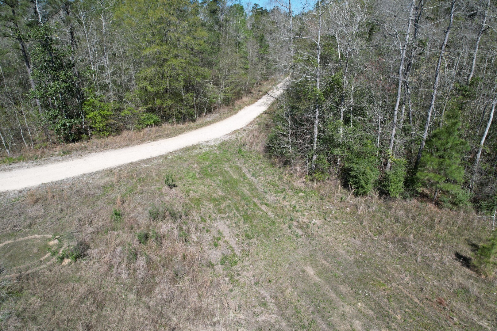 4219 County Road 4219 Orange, TX 77632 - Photo 6 of 14