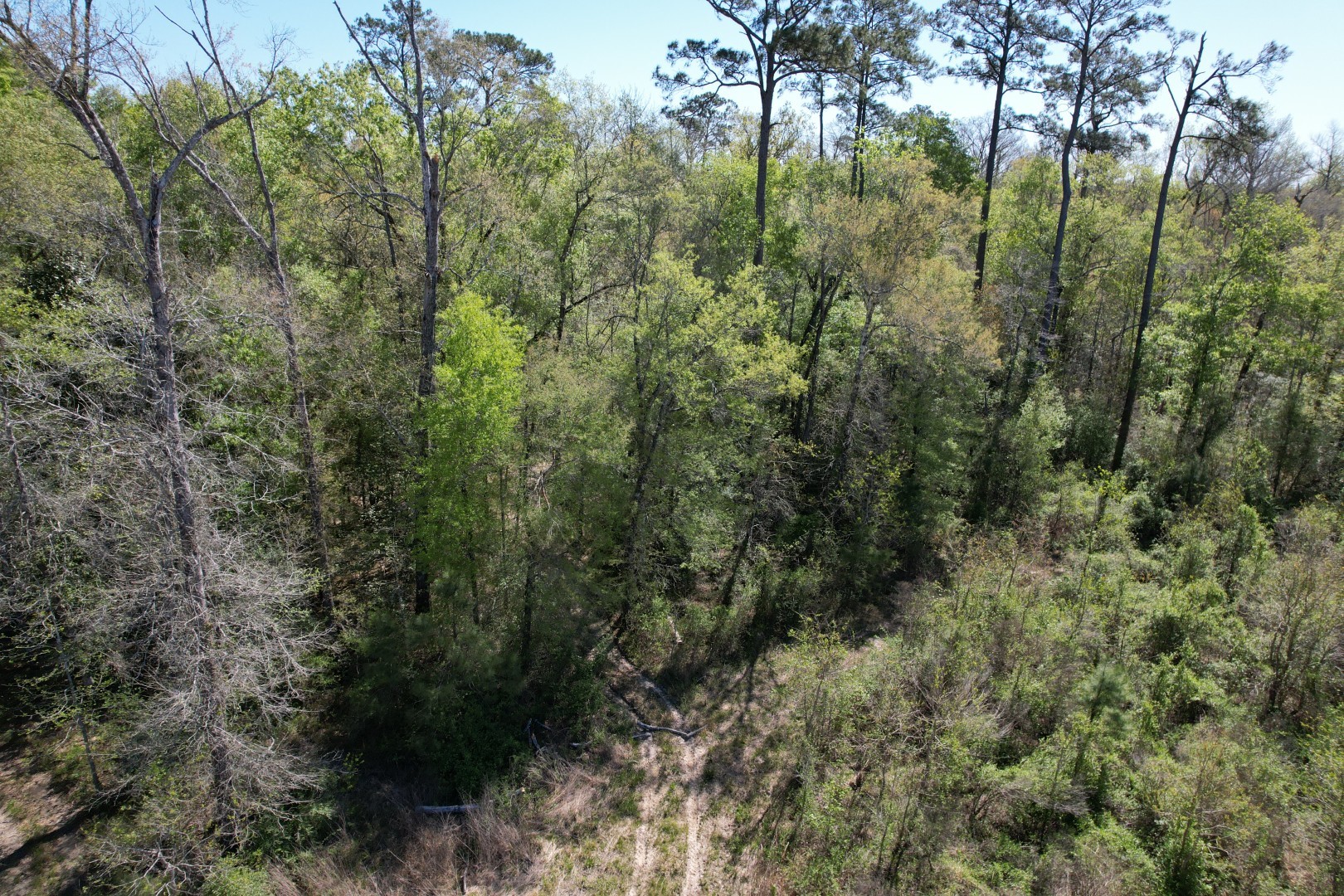 4219 County Road 4219 Orange, TX 77632 - Photo 7 of 14