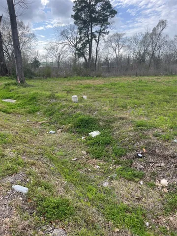 a view of a grassy field with trees