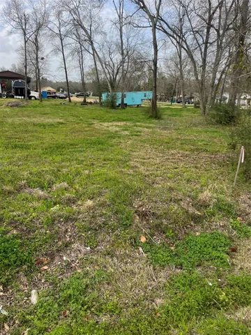 a view of a field with a tree