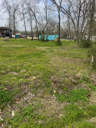 a big yard with lots of green space and deers