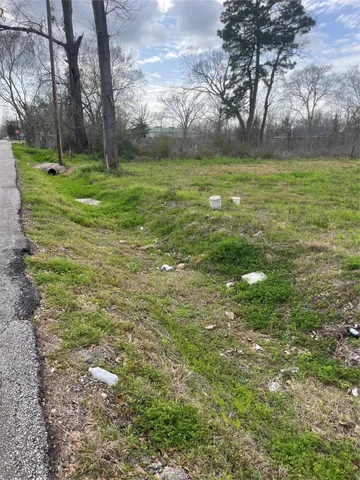 a view of a park with large trees