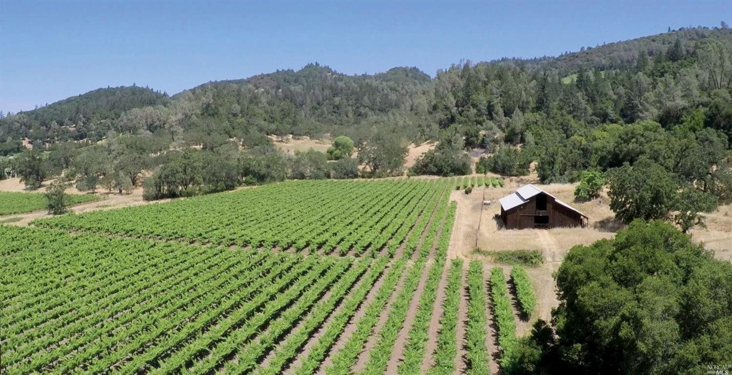 280 Crystal Springs Road St. Helena, CA 94574 - Photo 1 of 1 Gallery Image 1