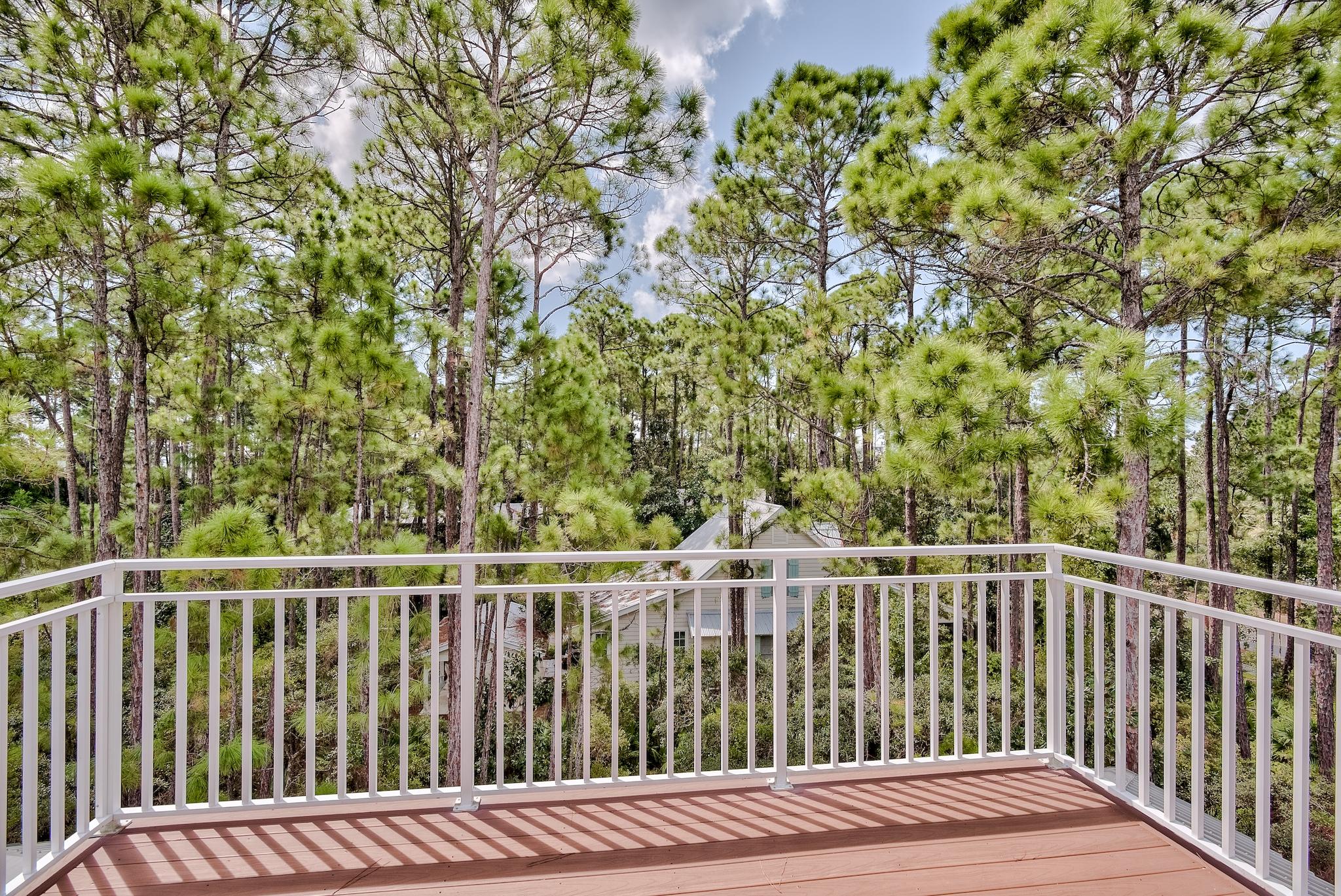 160 North Andalusia Avenue Santa Rosa Beach, FL 32459 - Photo 31 of 61