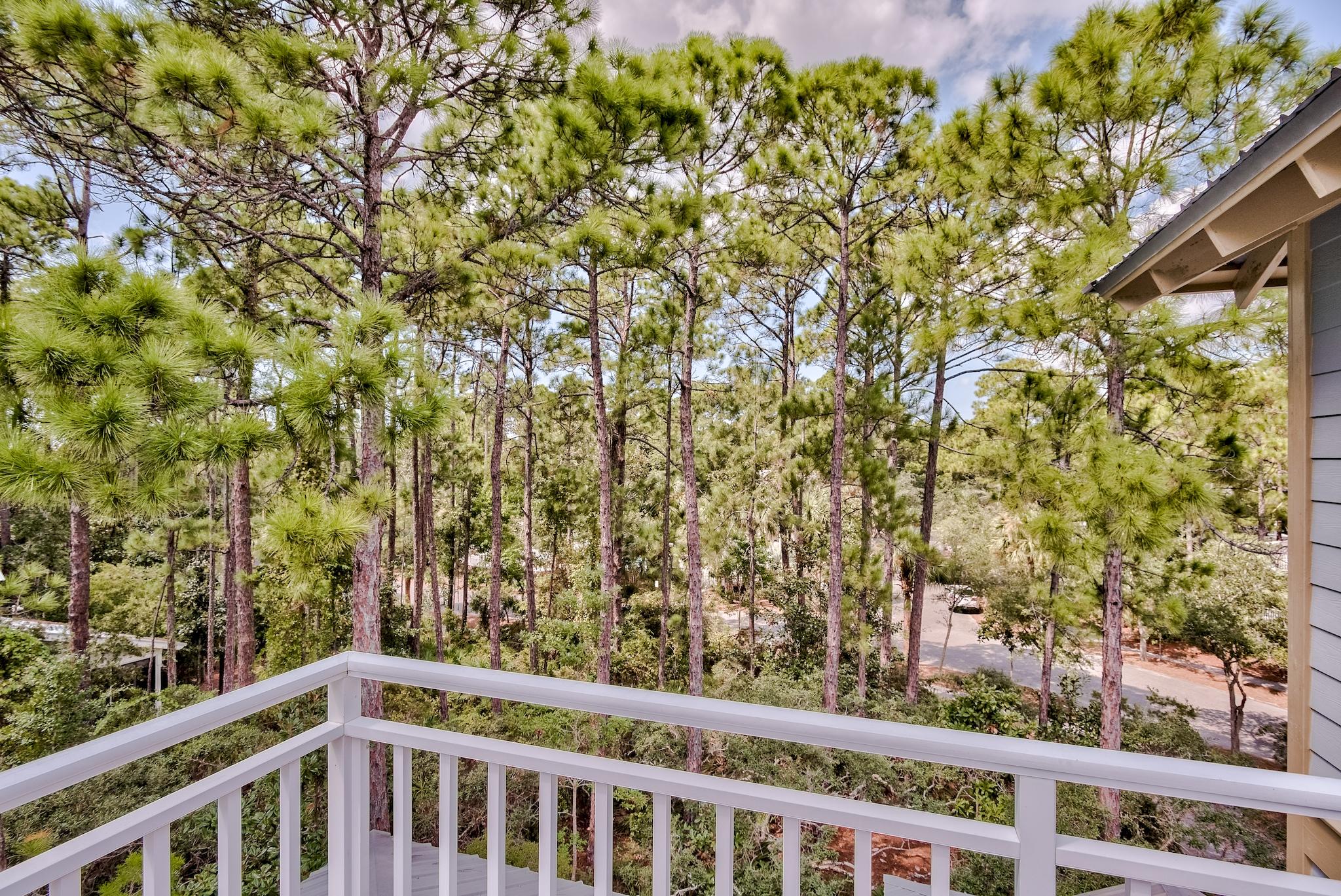 160 North Andalusia Avenue Santa Rosa Beach, FL 32459 - Photo 32 of 61 a view of a forest from a balcony