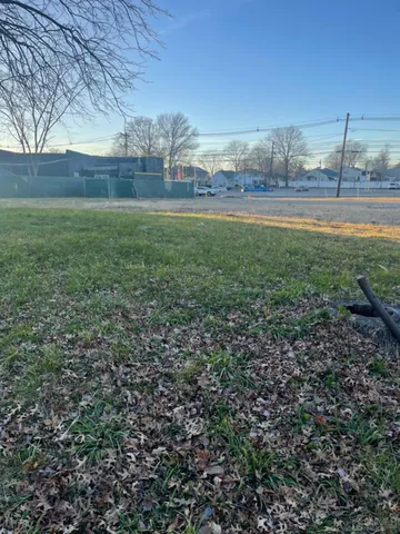 a view of yard with large tree