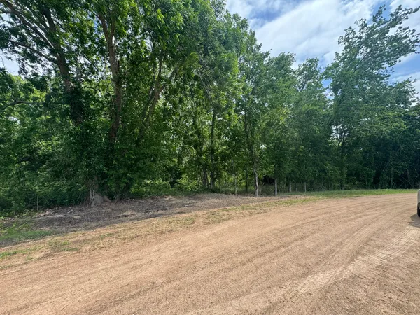 a view of empty area with green space