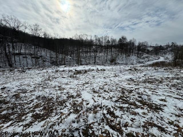 398 Hartley Run Road Le Roy, WV 25252 - Photo 21 of 23 Gallery Image 21