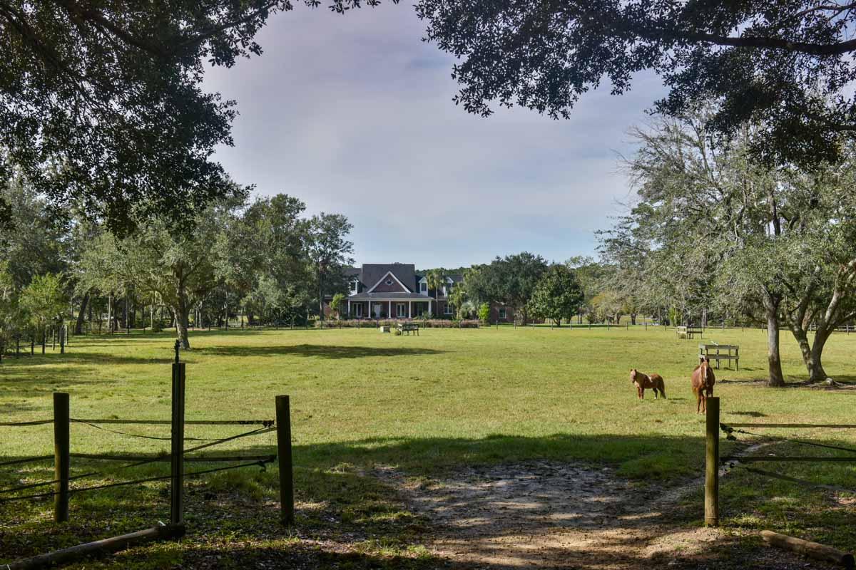 5827 Grimshaw Road Johns Island, SC 29455 - Photo 15 of 78 5827GrimshawRd-5731