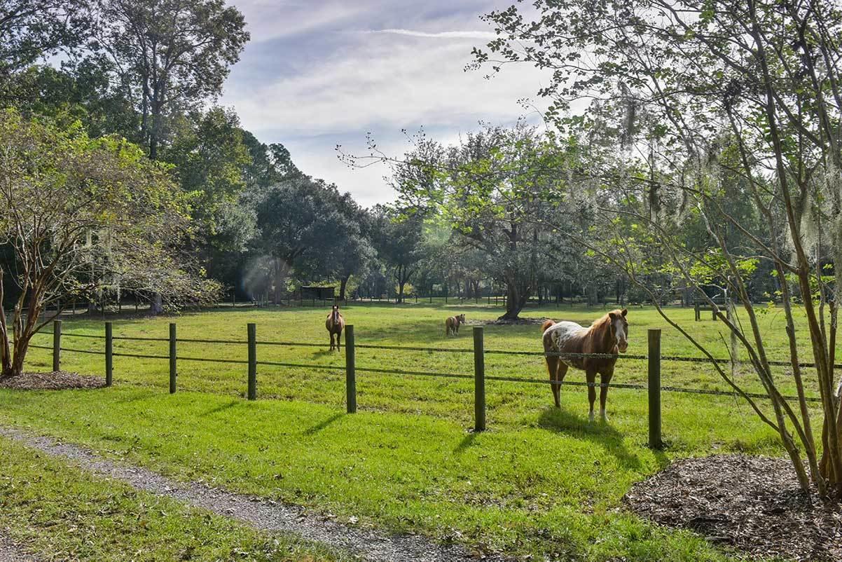 5827 Grimshaw Road Johns Island, SC 29455 - Photo 16 of 78 5827GrimshawRd-5697