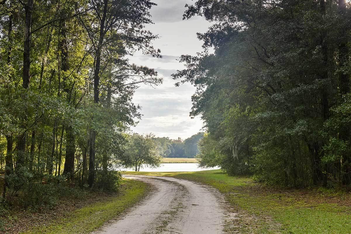 5827 Grimshaw Road Johns Island, SC 29455 - Photo 6 of 78 5827GrimshawRd-6629