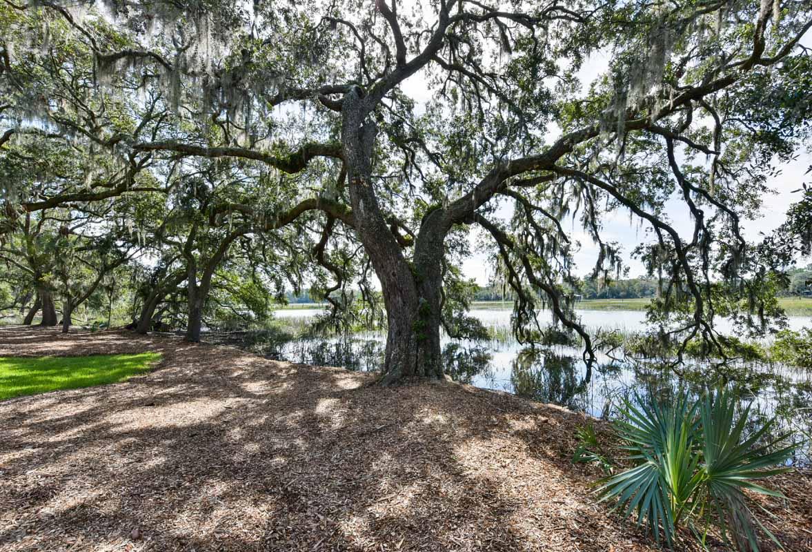 5827 Grimshaw Road Johns Island, SC 29455 - Photo 61 of 78 5827GrimshawRd-5896