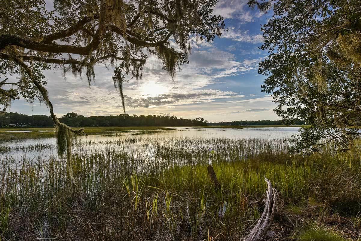 5827 Grimshaw Road Johns Island, SC 29455 - Photo 62 of 78 5827GrimshawRd-6668