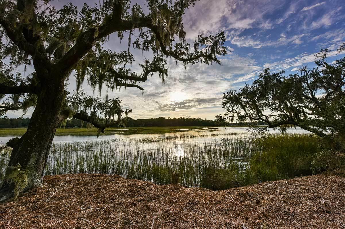 5827 Grimshaw Road Johns Island, SC 29455 - Photo 63 of 78 5827GrimshawRd-6670
