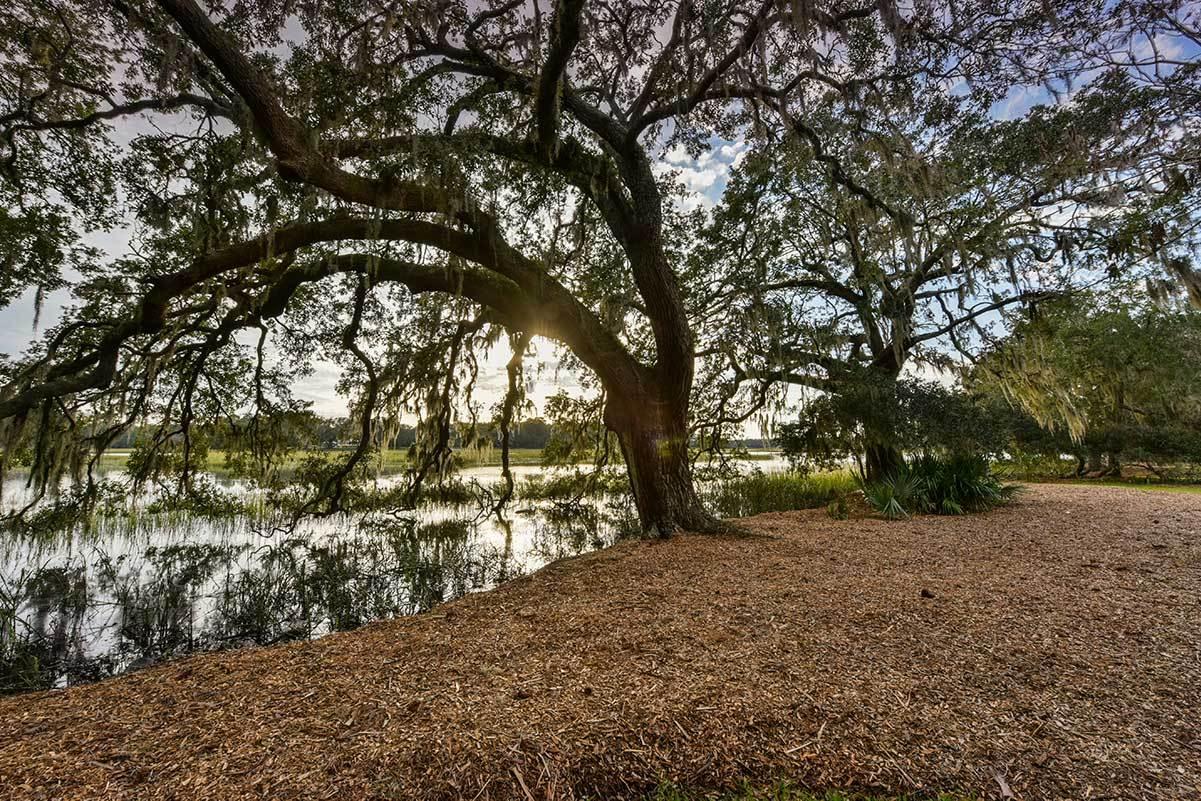 5827 Grimshaw Road Johns Island, SC 29455 - Photo 64 of 78 5827GrimshawRd-6675