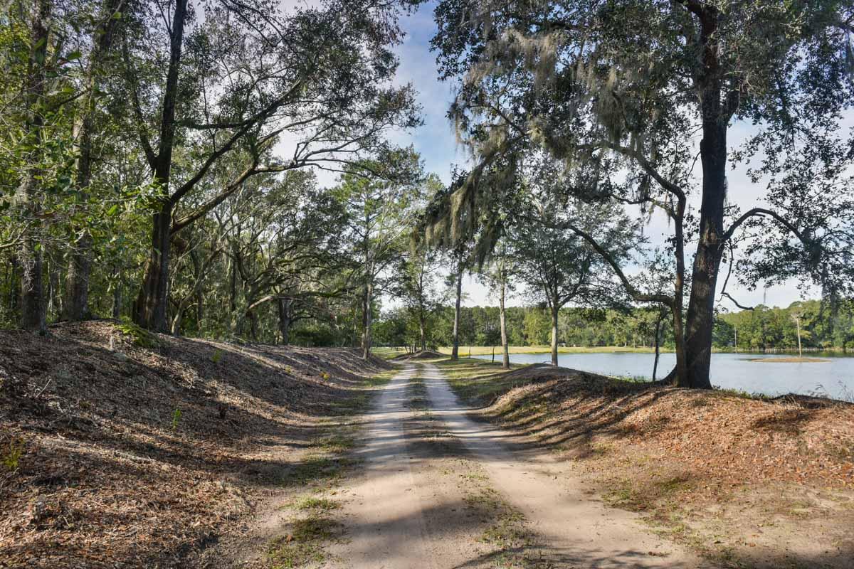 5827 Grimshaw Road Johns Island, SC 29455 - Photo 8 of 78 5827GrimshawRd-Lake-5680