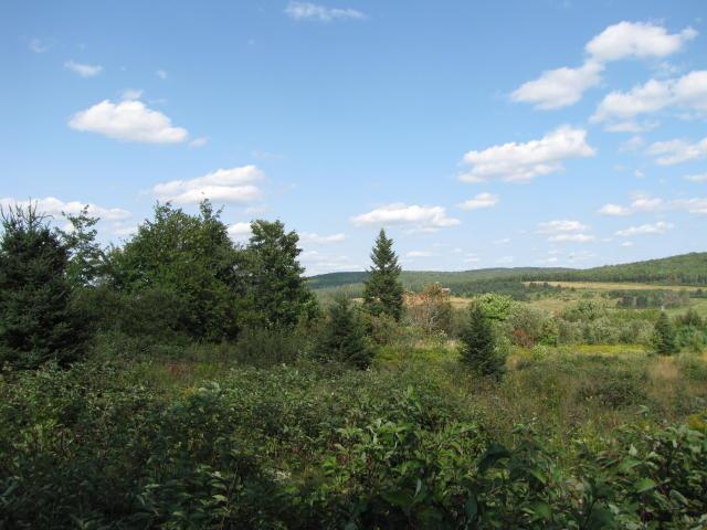0 Graham Road Easton, ME 04740 - Photo 4 of 21 Photo