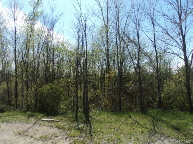 4815 Cuttle Road St. Clair, MI 48079 - Photo 22 of 26 CUTTLE AND GRATIOT 003.JPG