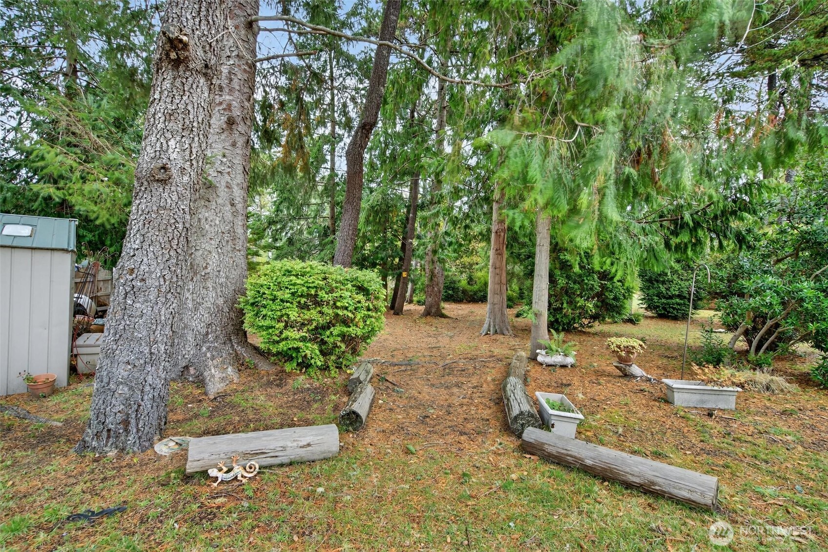 27501 R Lane Ocean Park, WA 98640 - Photo 39 of 40 a view of a backyard with plants and large trees