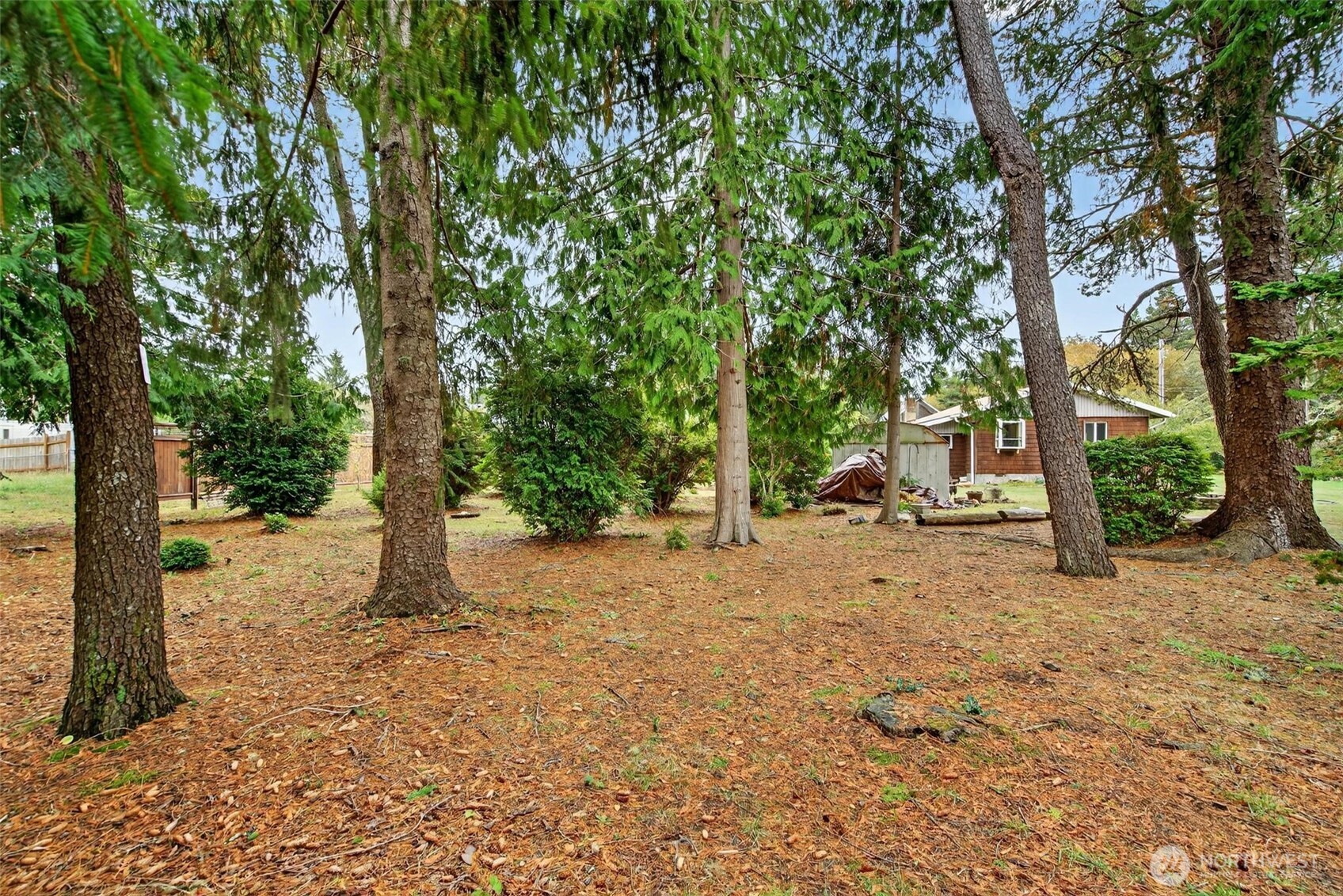 27501 R Lane Ocean Park, WA 98640 - Photo 40 of 40 a view of a tree in the middle of a yard