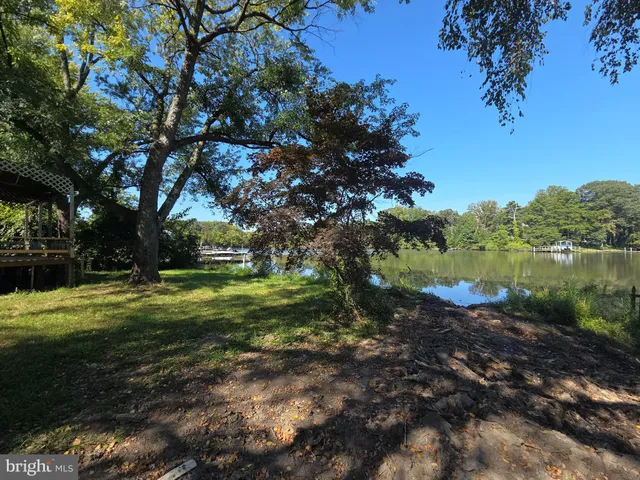 a view of a tree in front of a house