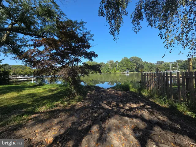 a view of a garden with a tree