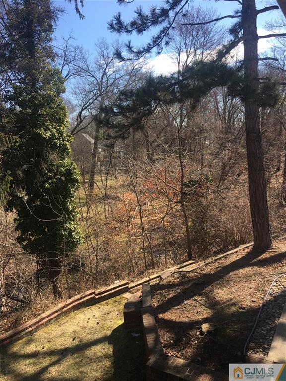 100 Dover Road Colonia, NJ 07067 - Photo 16 of 25 a view of a yard from a balcony
