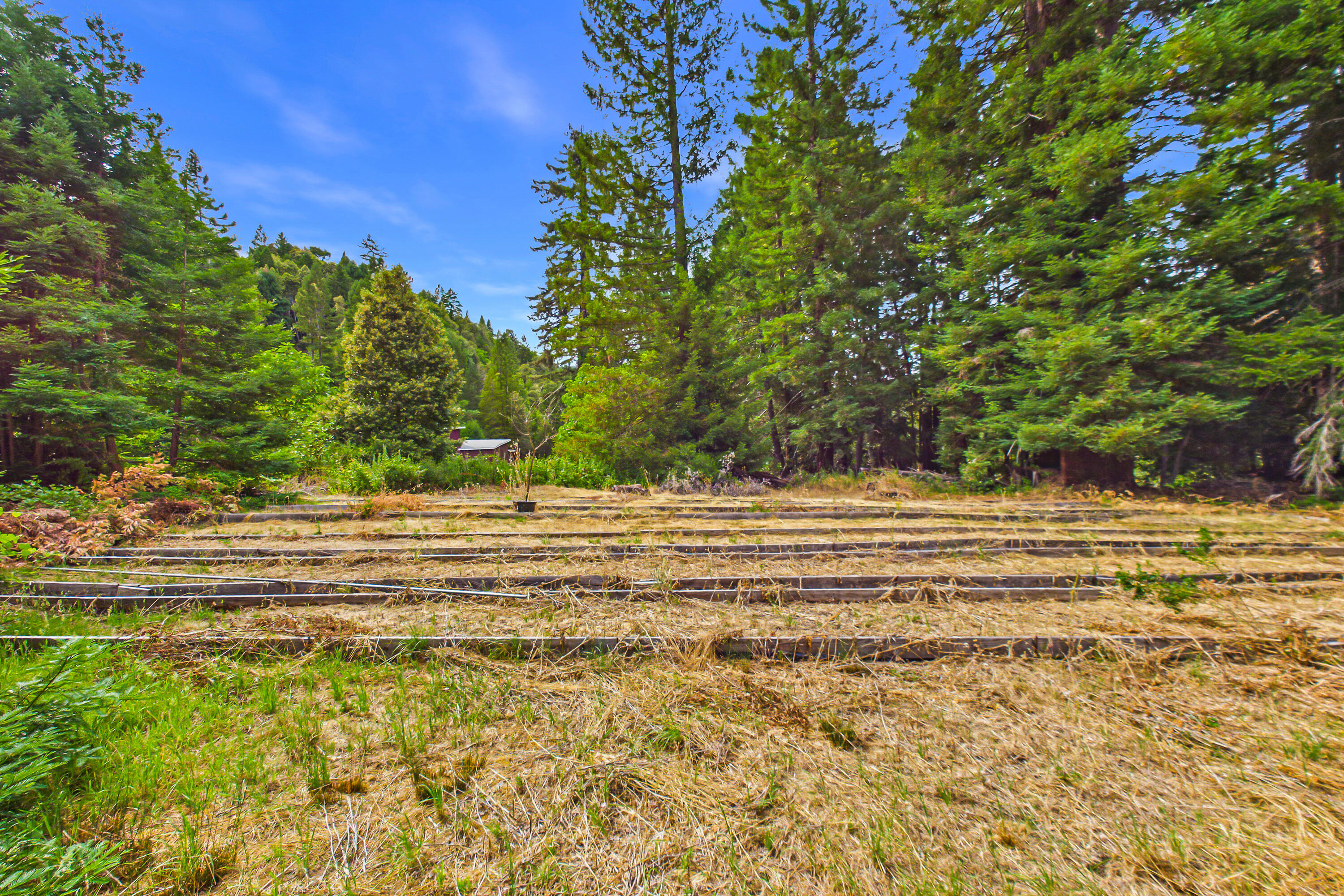 1005 Twin Trees Road Garberville, CA 95542 - Photo 72 of 84