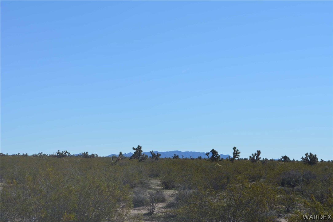 Parcel #393 Parcel Road Yucca, AZ 86438 - Photo 18 of 18 Gallery Image 18