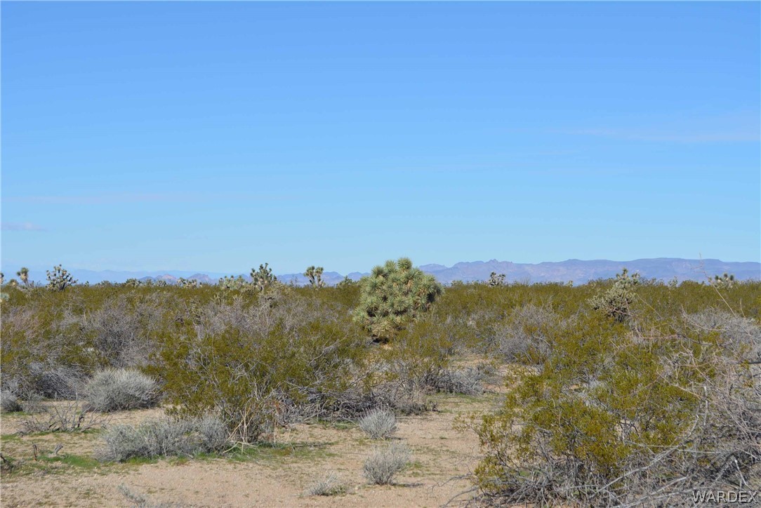 Parcel #393 Parcel Road Yucca, AZ 86438 - Photo 8 of 18 Gallery Image 8