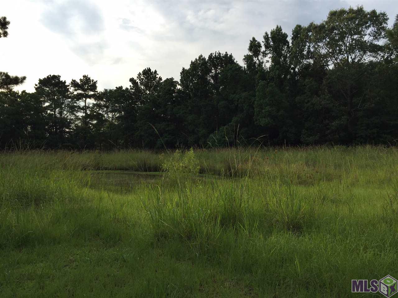 15313 Milldale Road Zachary, LA 70791 - Photo 3 of 13 Pond on the Property