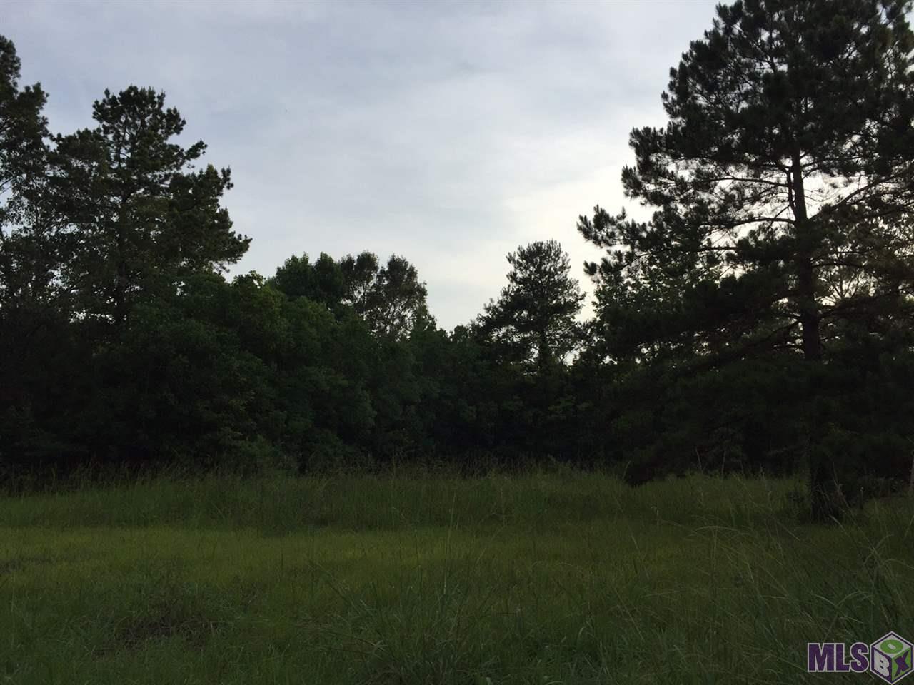 15313 Milldale Road Zachary, LA 70791 - Photo 5 of 13 Cleared Area