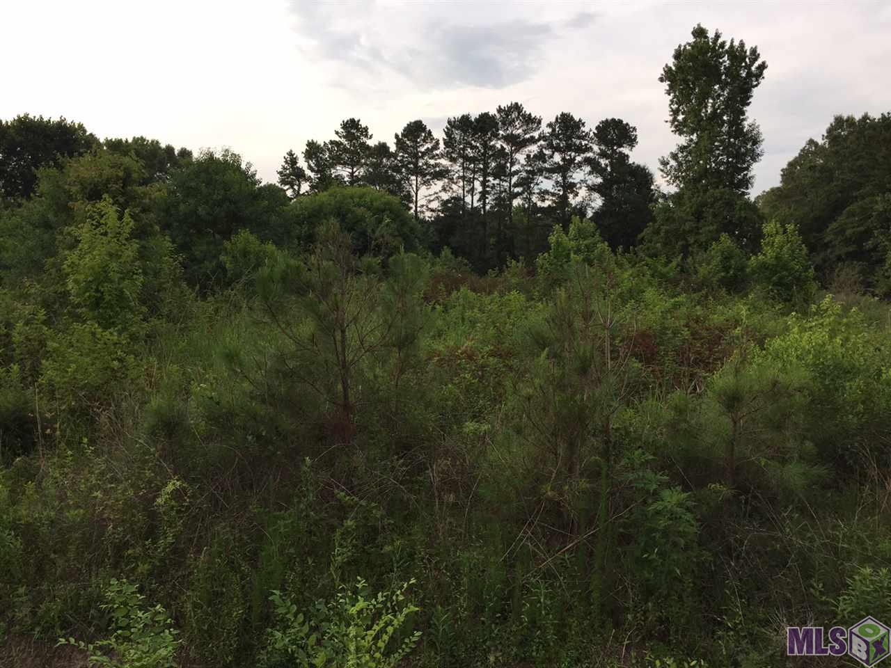 15313 Milldale Road Zachary, LA 70791 - Photo 10 of 13 Wooded Area