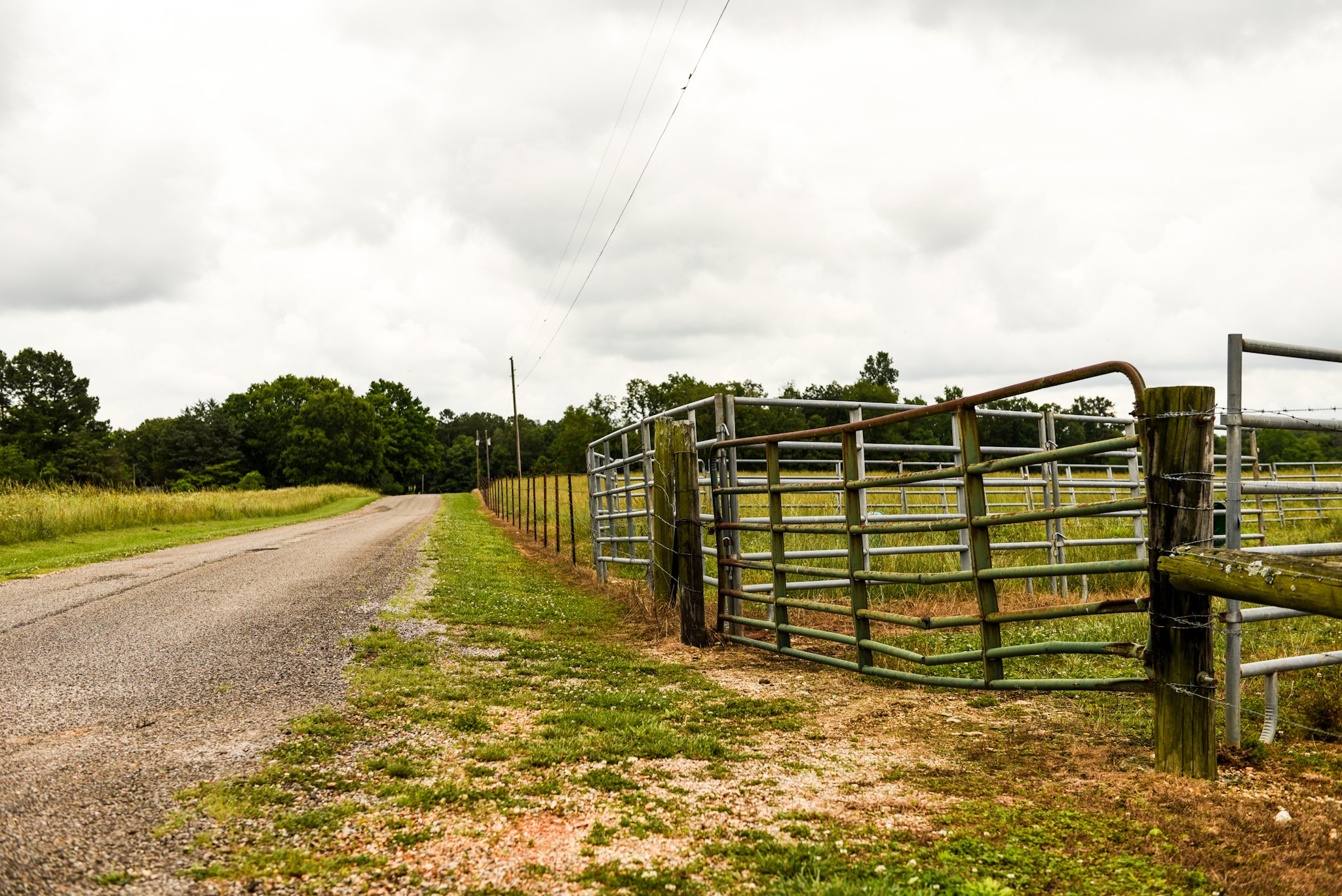 0 David Patterson Road Lutts, TN 38471 - Photo 18 of 58