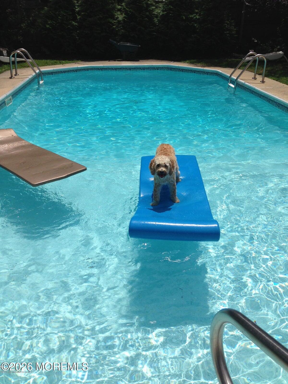 19 Peach Tree Road Oakhurst, NJ 07755 - Photo 5 of 11 20170117213303703556000000-o