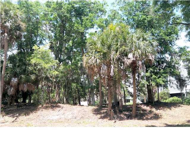 711 Jungle Road Edisto Beach, SC 29438 - Photo 1 of 23 Primary Photo