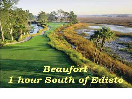 711 Jungle Road Edisto Beach, SC 29438 - Photo 11 of 23 Additional Photo
