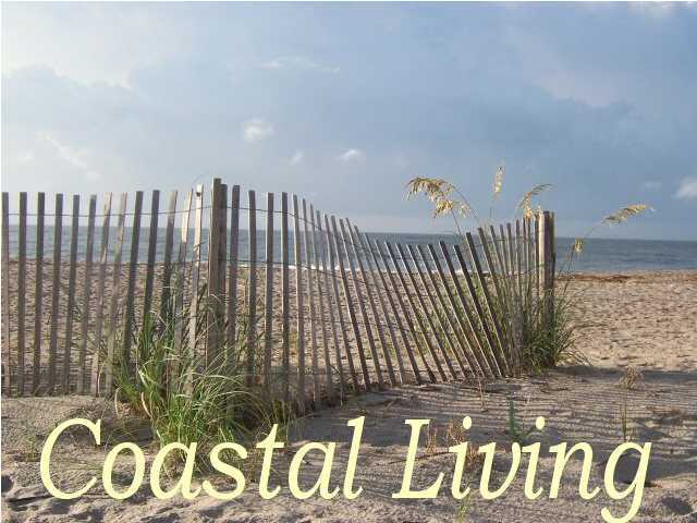 711 Jungle Road Edisto Beach, SC 29438 - Photo 16 of 23 Additional Photo