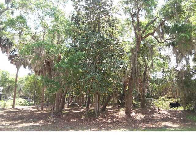 711 Jungle Road Edisto Beach, SC 29438 - Photo 6 of 23 Additional Photo