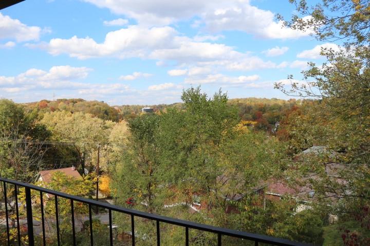 1323 Brinton Road Pittsburgh, PA 15221 - Photo 25 of 25 Gallery Image 25