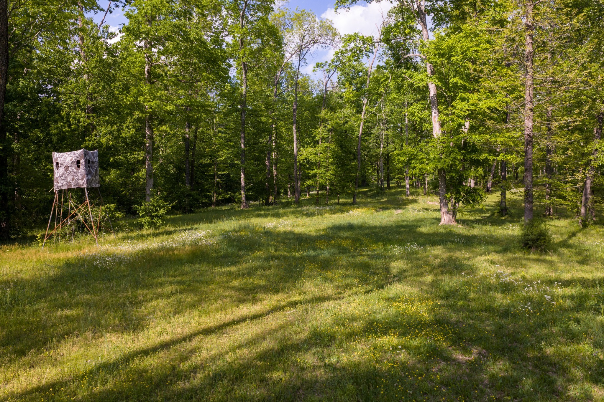 6415 Pinewood Road Nunnelly, TN 37137 - Photo 8 of 94 Gallery Image 8