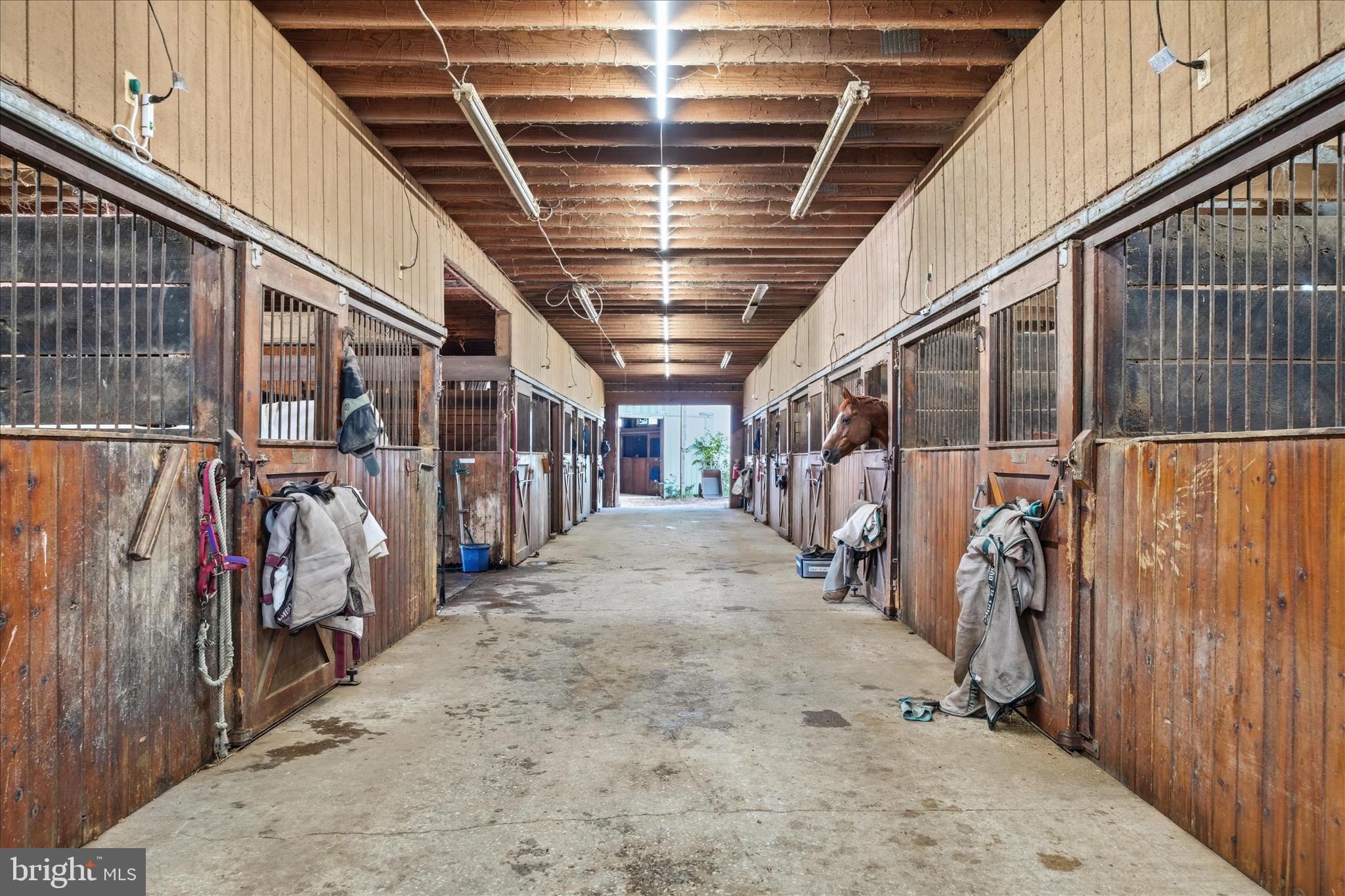 20800 Whites Ferry Road Poolesville, MD 20837 - Photo 17 of 94 Aisle Barn 3
