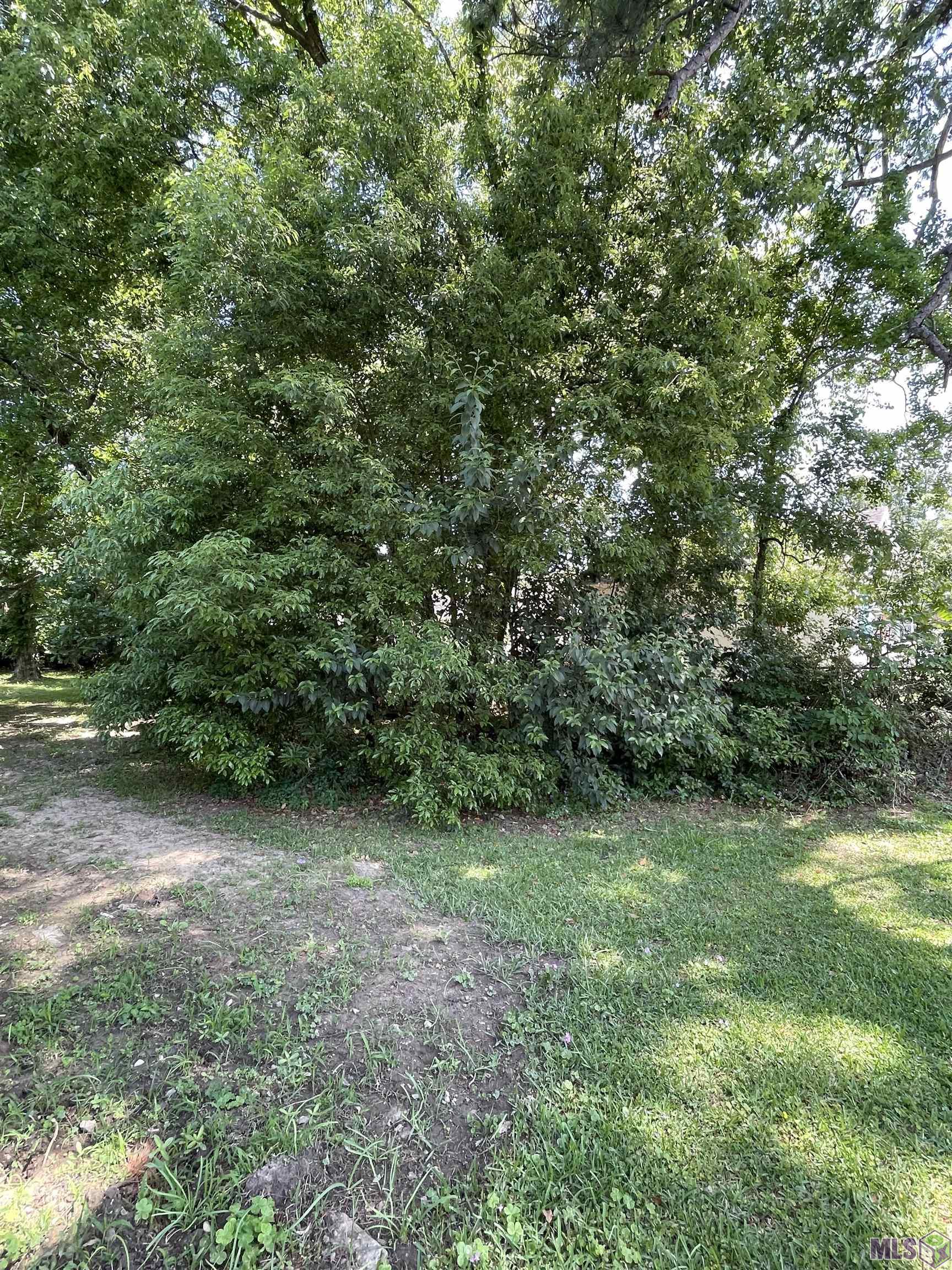 0 Calumet Street Baton Rouge, LA 70805 - Photo 2 of 2 Gallery Image 2