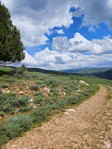 3378 North Oak Cyn Road, Unit 526 Huntsville, UT 84317 - Photo 12 of 24 View of road with a mountain view