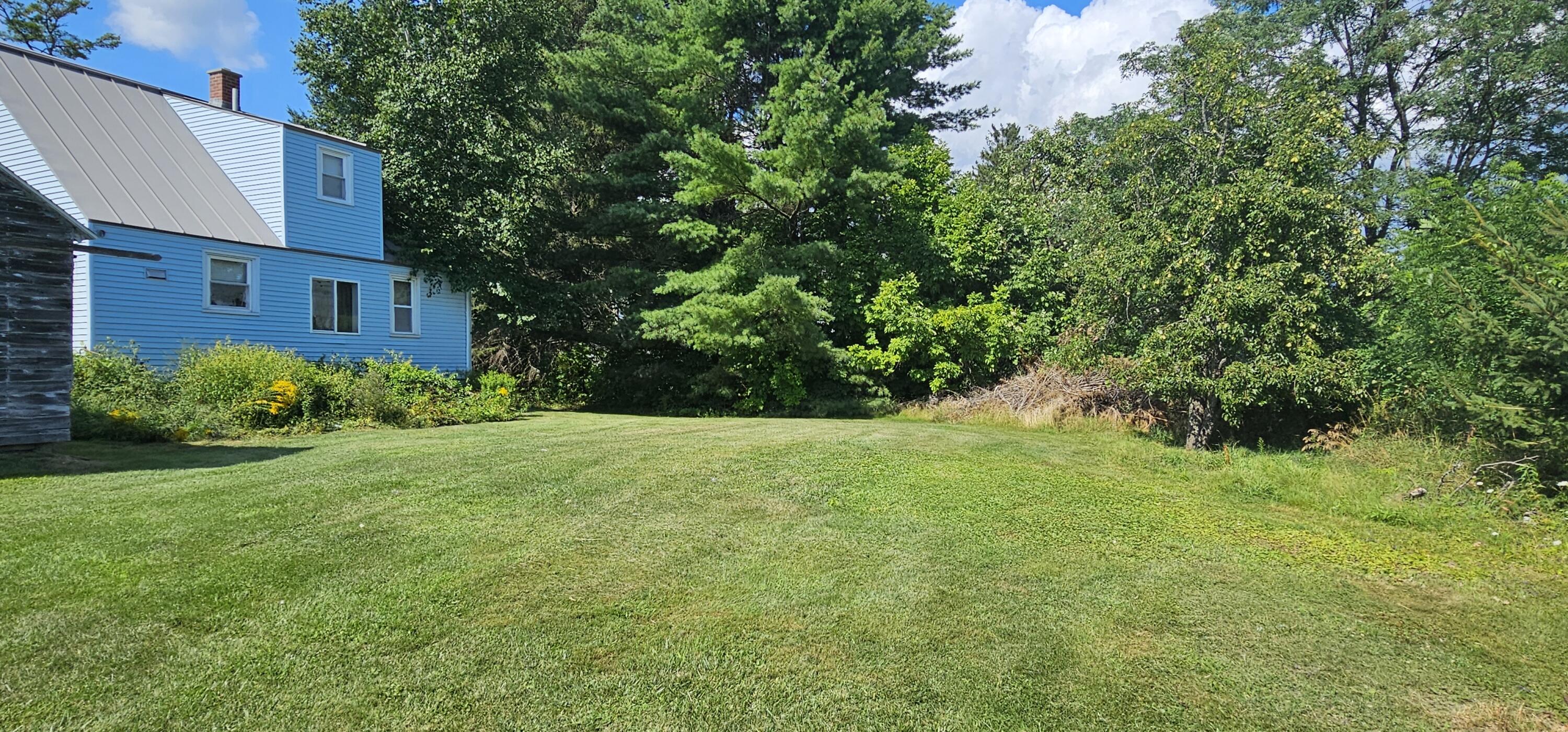 03. Backyard