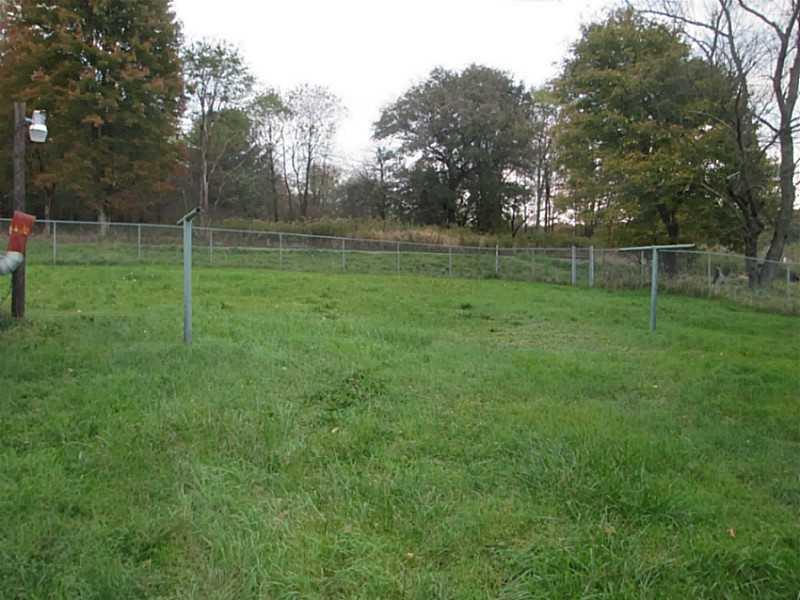 1416 Chicora Road Chicora, PA 16025 - Photo 4 of 14 Yard/Garden.