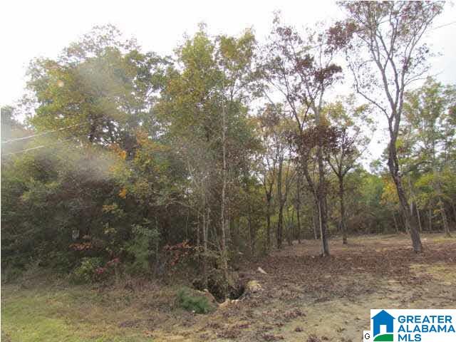 0 Mill Ridge Lane, Unit 12 AC Pell City, AL 35128 - Photo 1 of 1