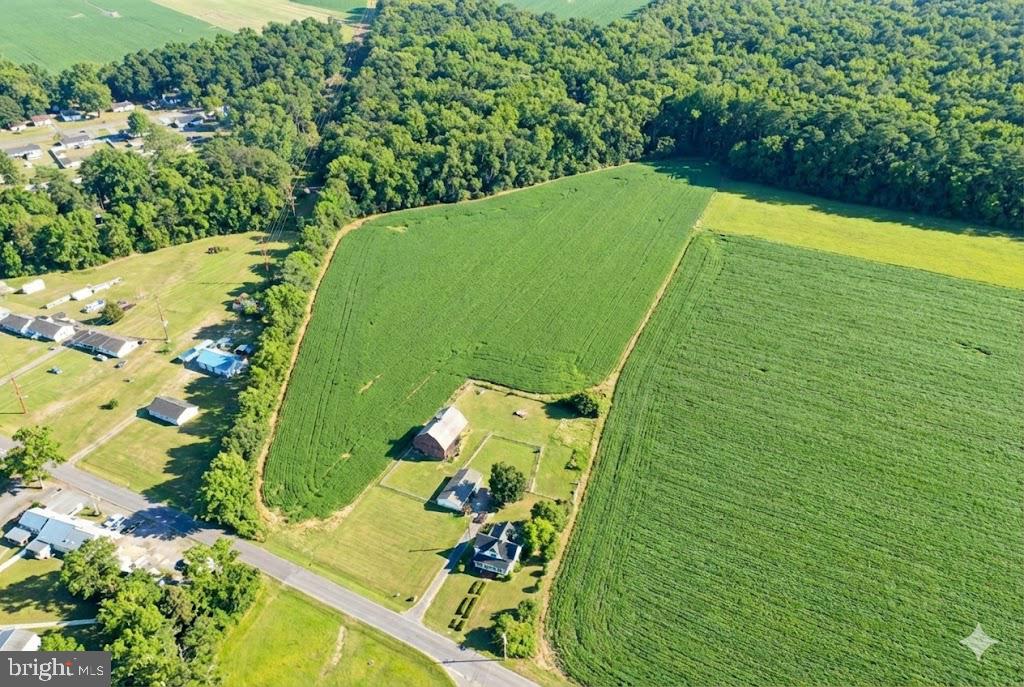 210 Chestnut Tree Road Hebron, MD 21830 - Photo 5 of 29